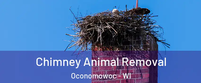  Chimney Animal Removal Oconomowoc - WI