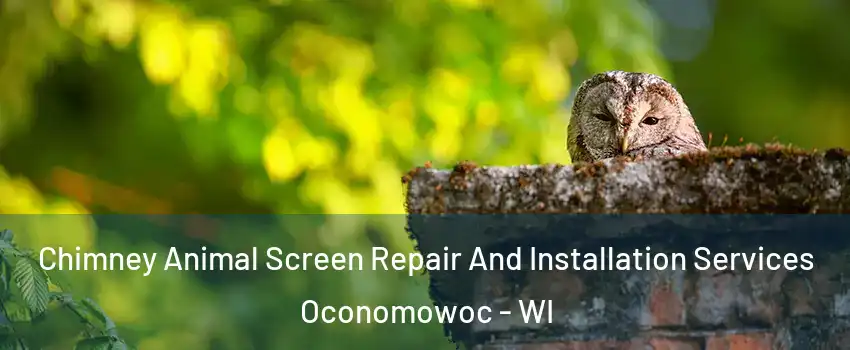  Chimney Animal Screen Repair And Installation Services Oconomowoc - WI