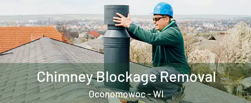  Chimney Blockage Removal Oconomowoc - WI