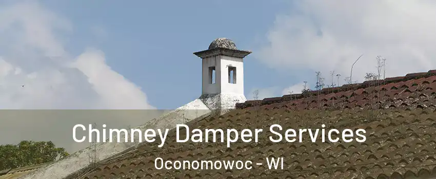  Chimney Damper Services Oconomowoc - WI