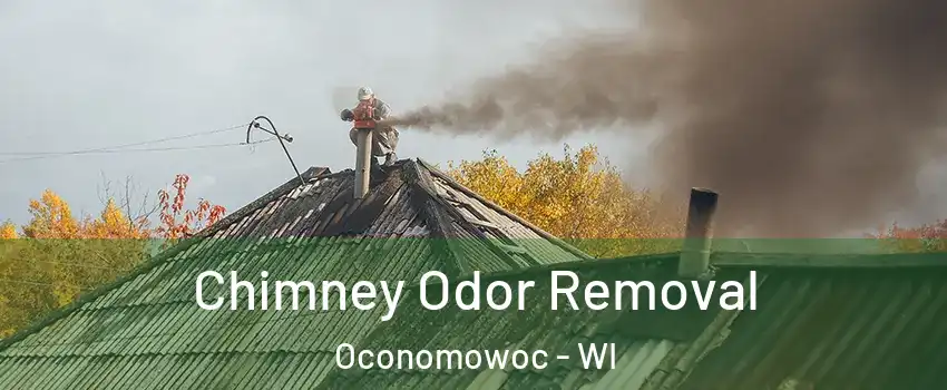  Chimney Odor Removal Oconomowoc - WI