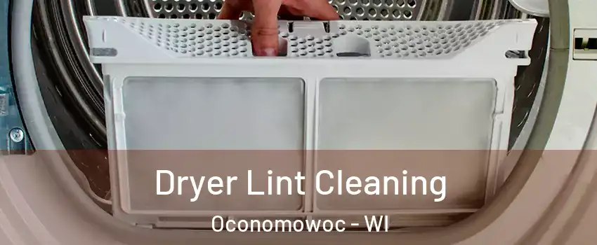  Dryer Lint Cleaning Oconomowoc - WI