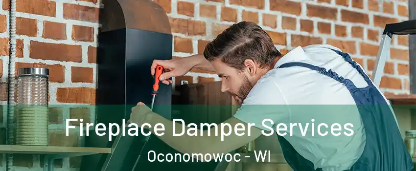  Fireplace Damper Services Oconomowoc - WI