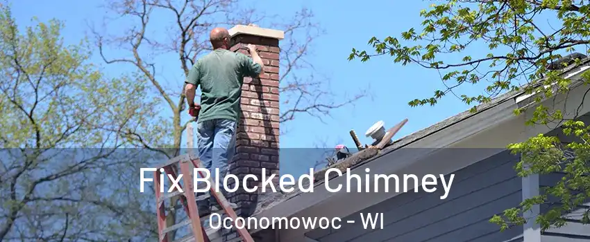  Fix Blocked Chimney Oconomowoc - WI