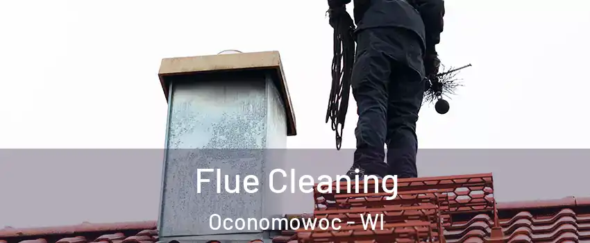  Flue Cleaning Oconomowoc - WI