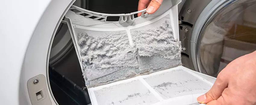 Best Dryer Lint Removal Company in Oconomowoc, Wisconsin