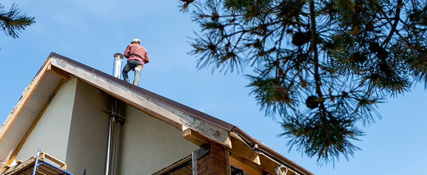 Birds Removal Contractors from Chimney in Oconomowoc, WI