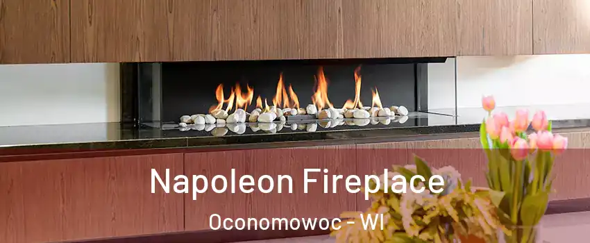  Napoleon Fireplace Oconomowoc - WI